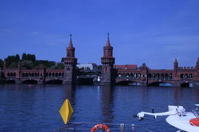 DSC_1742 (Large).JPG